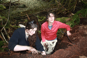 remains of herring and other small fish